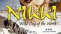 Nikki - divoký pes severu